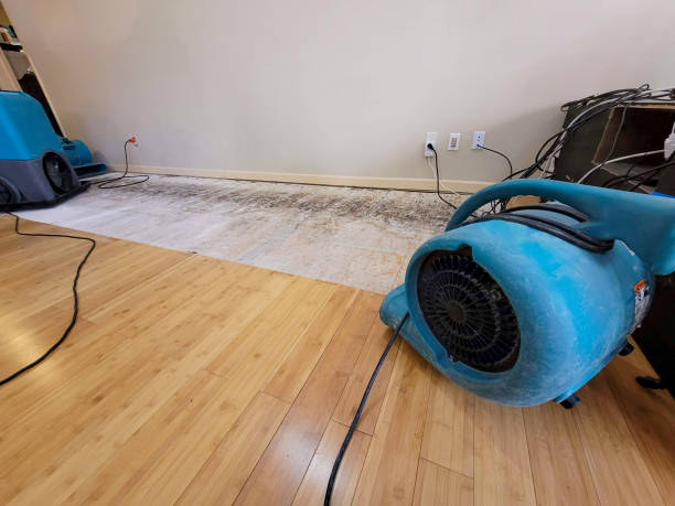 Professional Water Damage Repair technician working in Lolita, TX